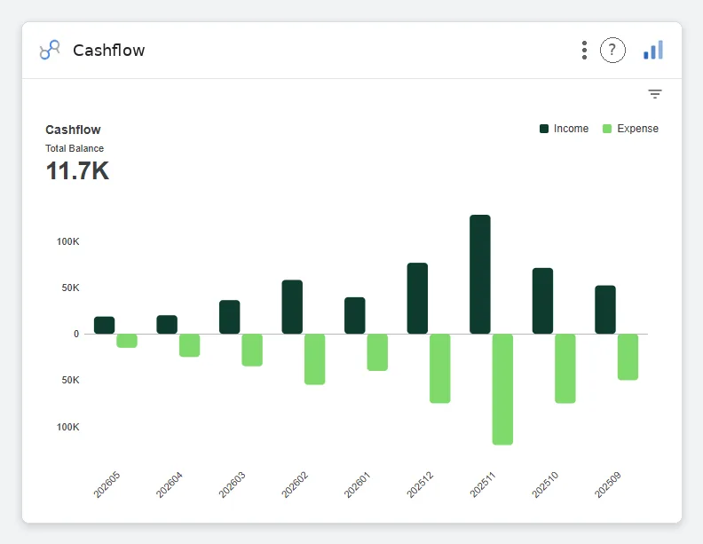 Cashflow — Data Studio screenshot